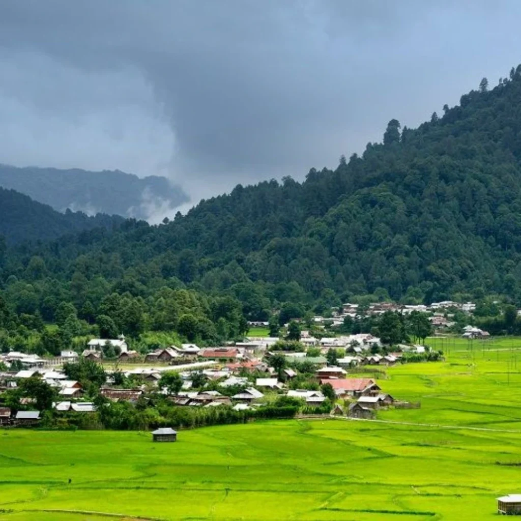 Ziro in August and September